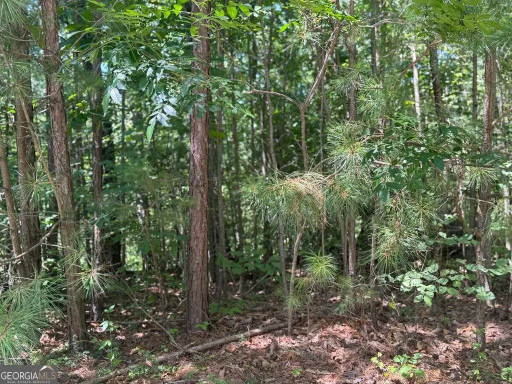 189 Hopewell Drive, Ranger, GA 30734 - Image #1