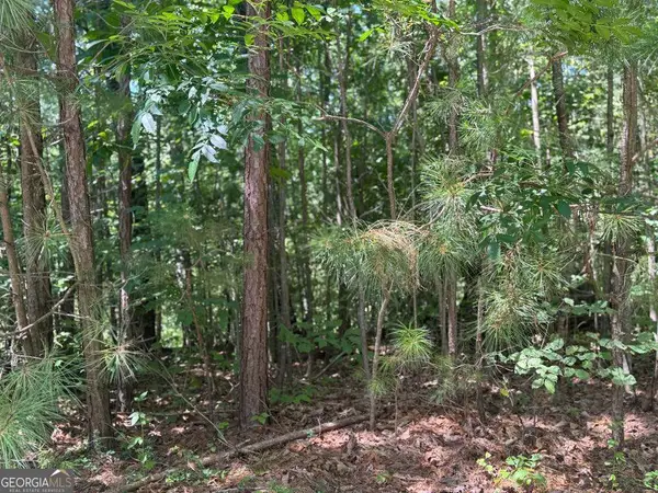 189 Hopewell Drive, Ranger, GA 30734