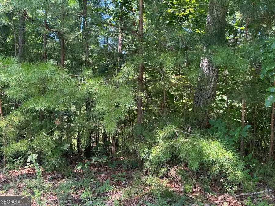 189 Hopewell Drive, Ranger, GA 30734 - Image #3