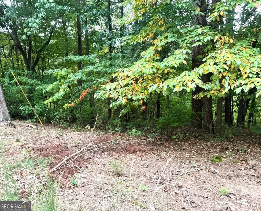 208 Oxford Circle Ne, Ranger, GA 30734 - Image #2