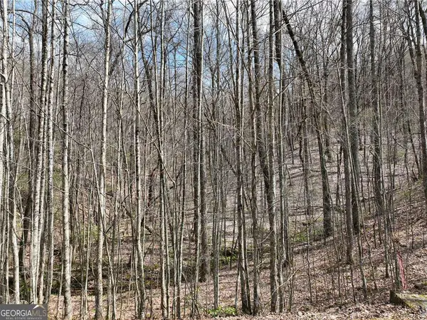 64 St Andrews Way, Ellijay, GA 30536