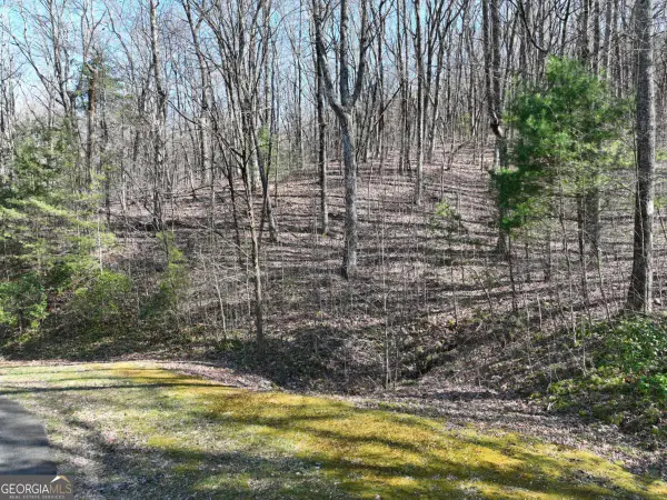 66 St Andrews Way, Ellijay, GA 30536