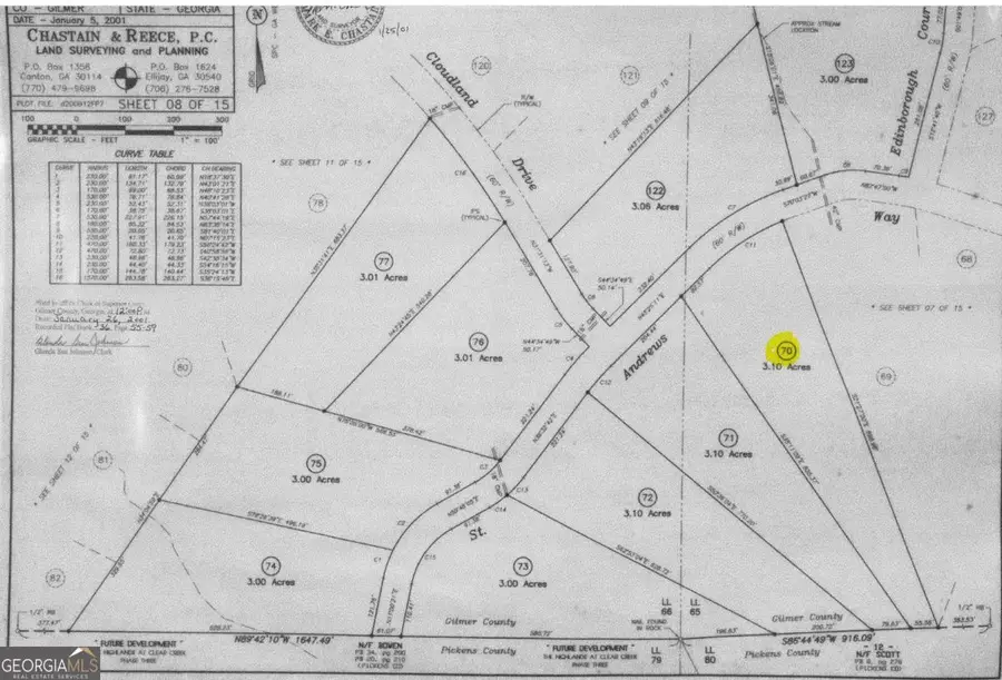 70 St Andrews Way, Ellijay, GA 30536 - #2