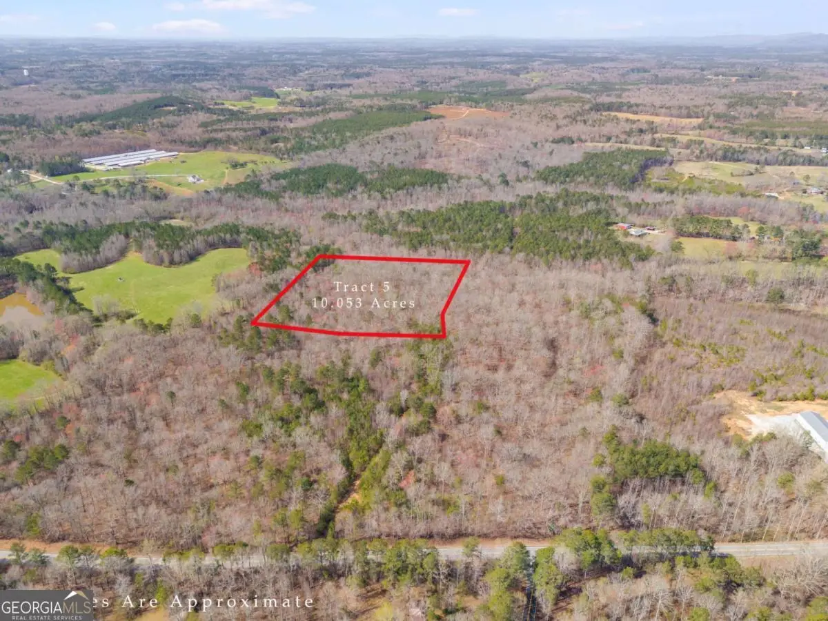 TRACT5 Georgia Highway 100, Buchanan, GA 30113 - Image #1