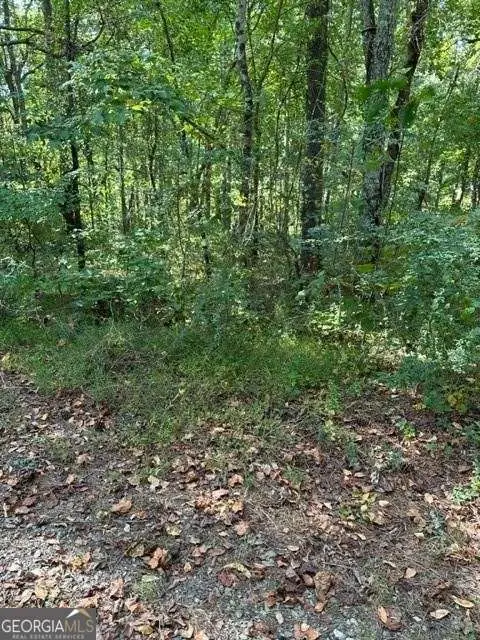 1089 Damascus Drive, Ball Ground, GA 30107 - Image #2