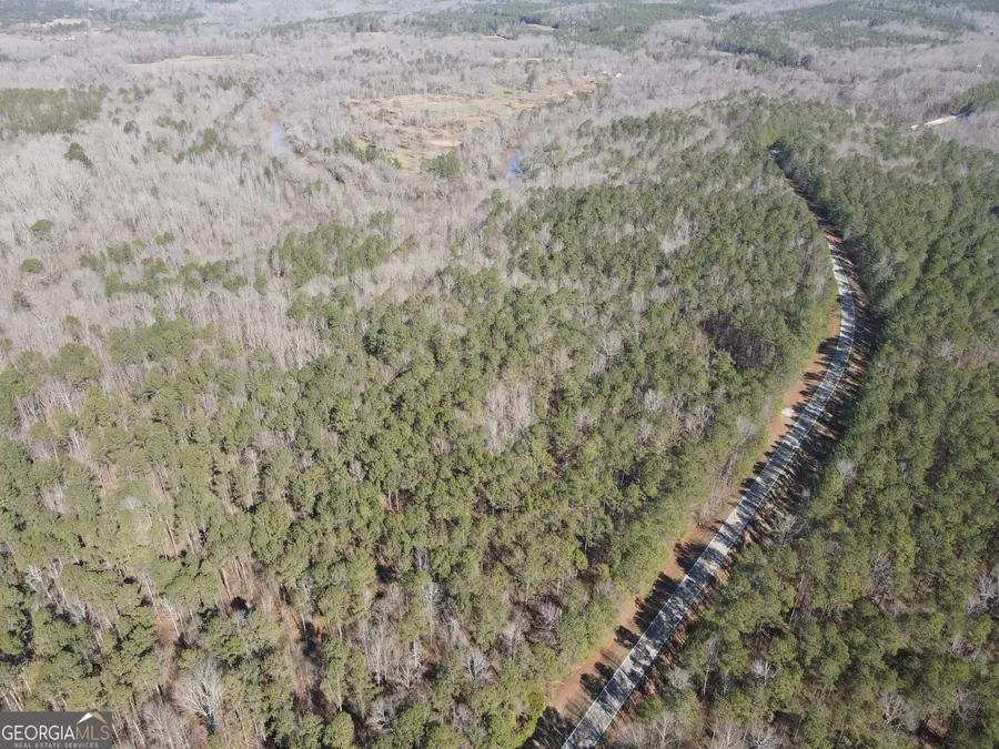 402 Rocky Plains Road, Covington, GA 30016 - Image #3