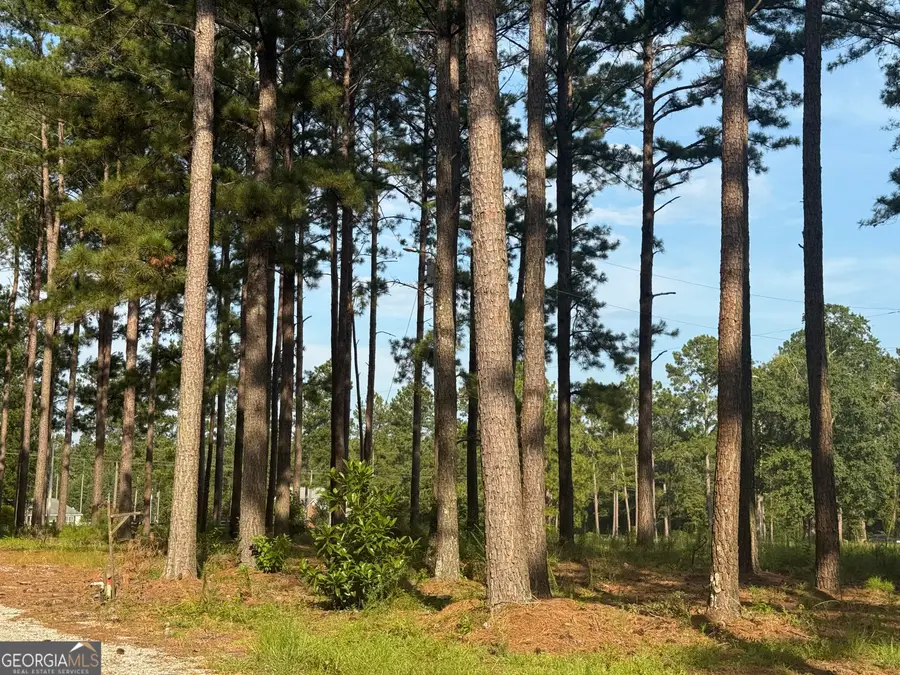 1550 Adabelle Road, Register, GA 30452 - Image #3