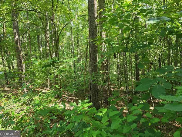 0 Lawson Federal Road, Ball Ground, GA 30107