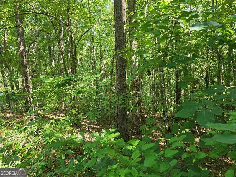 0 Harley Trail, Ball Ground, GA 30107 - Image #2