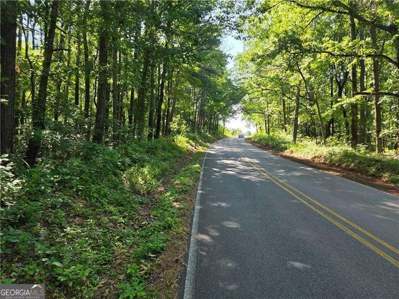 0 Harley Trail, Ball Ground, GA 30107 - Image #3