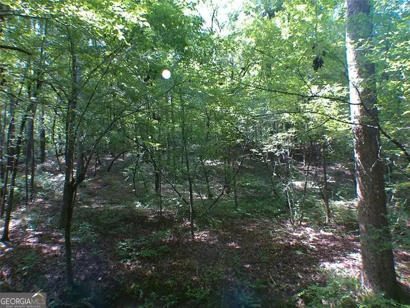 0 Briarpatch Drive, Covington, GA 30014 - Image #3