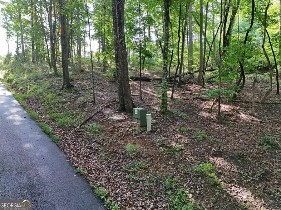 LOT 100 Valley Crest Drive, Blairsville, GA 30512 - Image #2