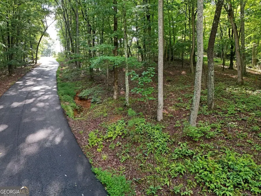 LOT 100 Valley Crest Drive, Blairsville, GA 30512 - Image #3