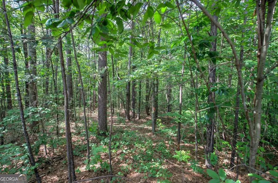 0 Forest Creek, Dallas, GA 30132 - Image #2