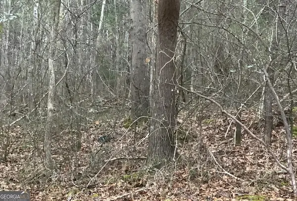 280 Nixon Street, Summerville, GA 30747