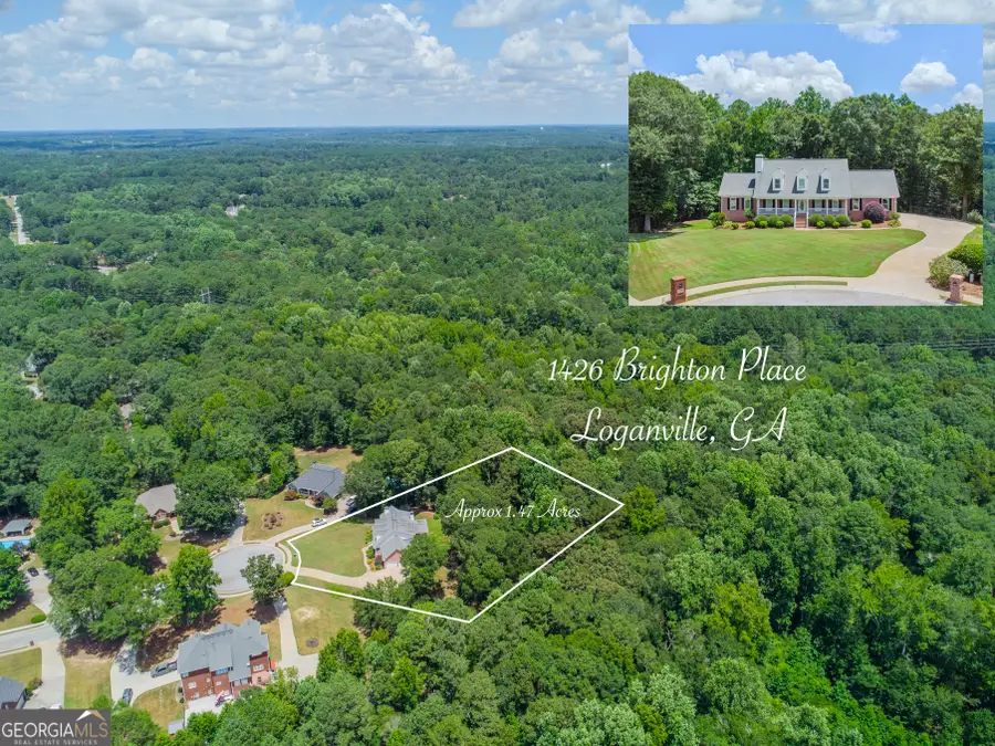 1426 Brighton Place, Loganville, GA 30052 - Image #3