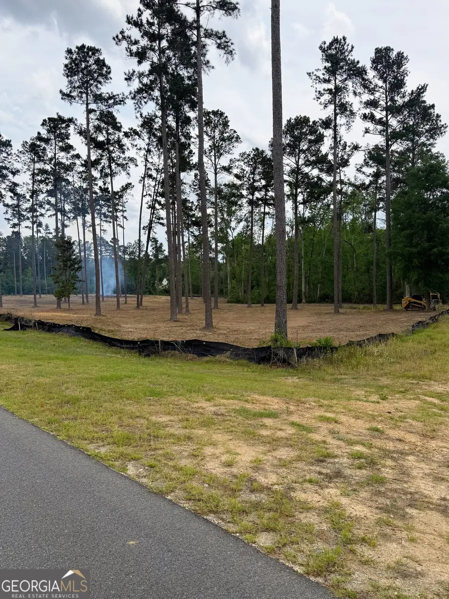 0 E Lake Drive, Statesboro, GA 30458 - Image #3