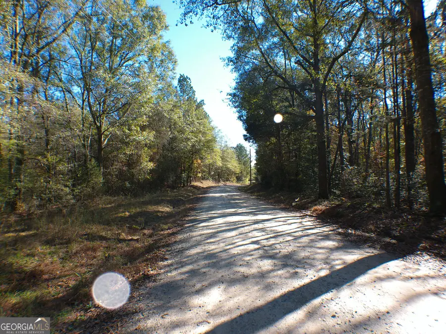 0 Dusty Road, Bowman, GA 30624 - Image #2
