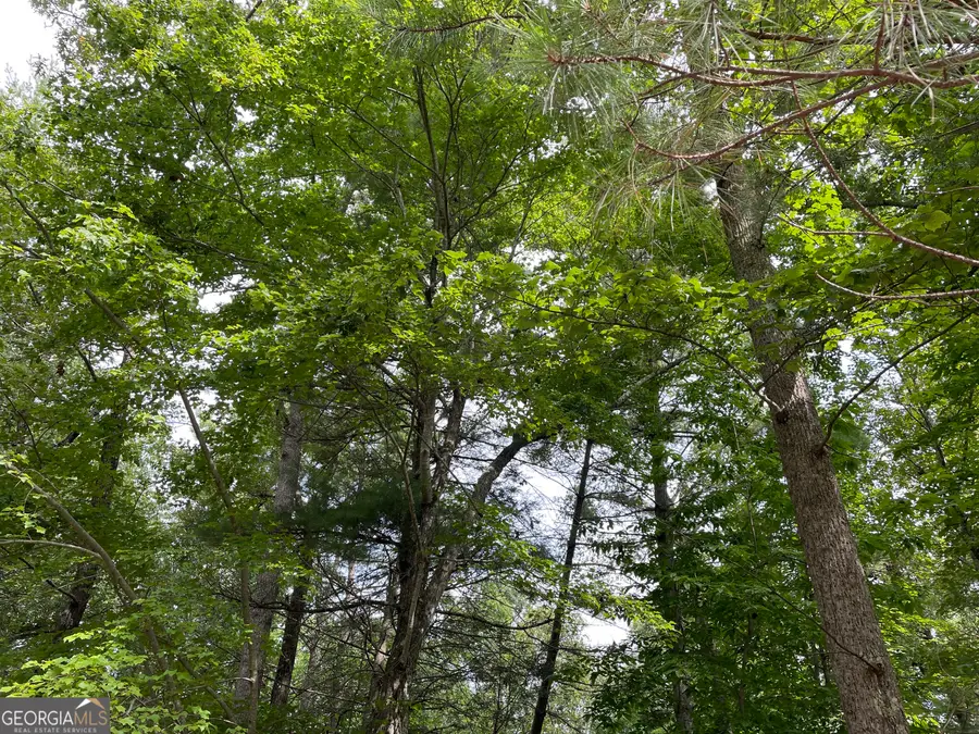 LOT13 Sour Apple Lane #13, Blairsville, GA 30512 - Image #2