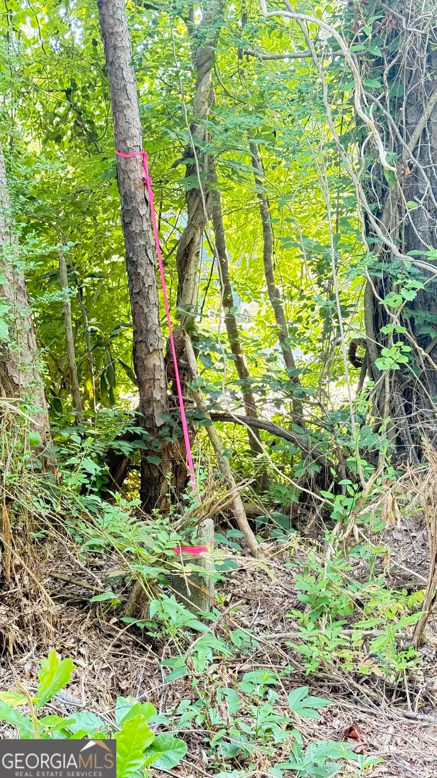 8 Sweetwater Bend, Villa Rica, GA 30180 - Image #2