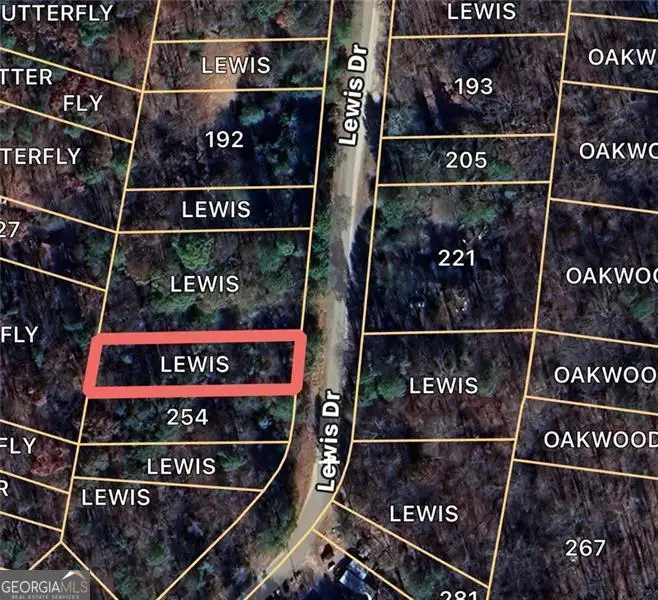 0 Lewis, Lavonia, GA 30553 - Image #1