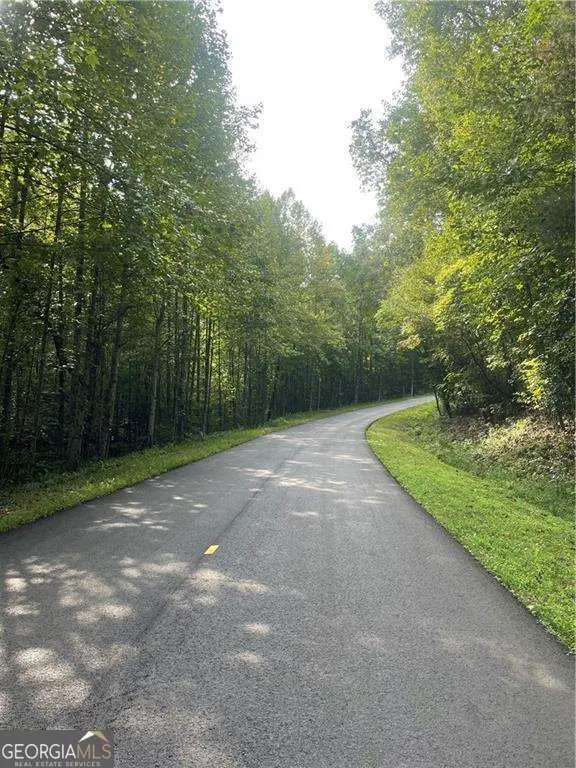 0 Gold View Drive, Dahlonega, GA 30533 - Image #2