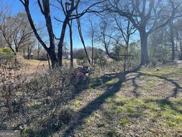 427 Park Street, Cedartown, GA 30125 - Image #2