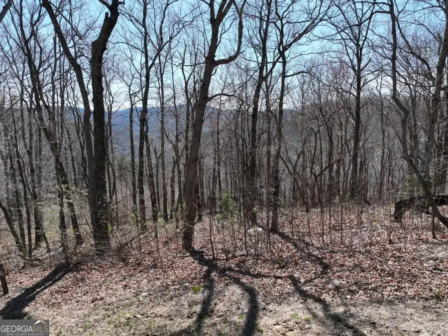 274 Andes Ridge, Ellijay, GA 30536 - Image #2