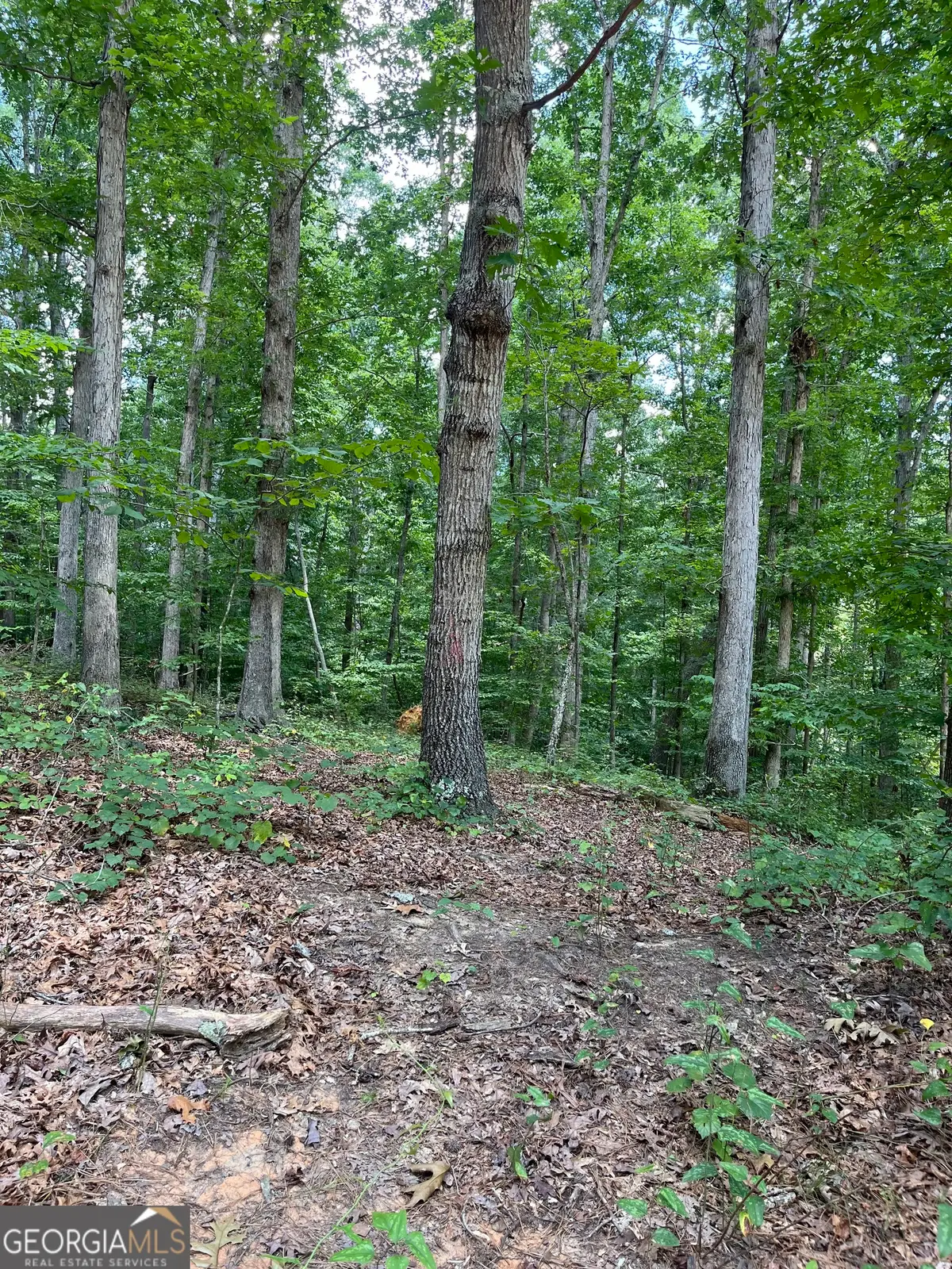 2710 Glendale Drive Ne, Conyers, GA 30013 - Image #1