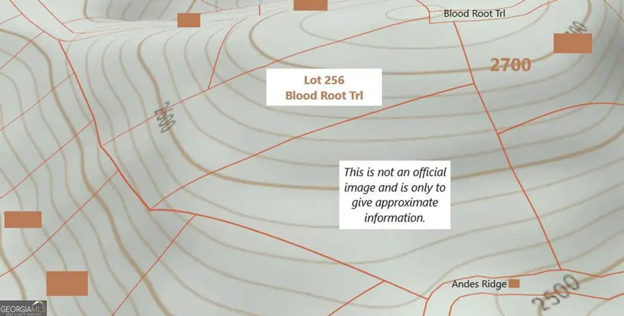 256 Blood Root Trail, Ellijay, GA 30536 - Image #3