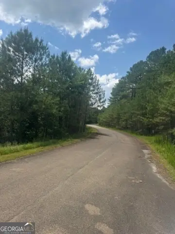 LTS 43 & 44 Reece Mountain Road, Ellijay, GA 30536