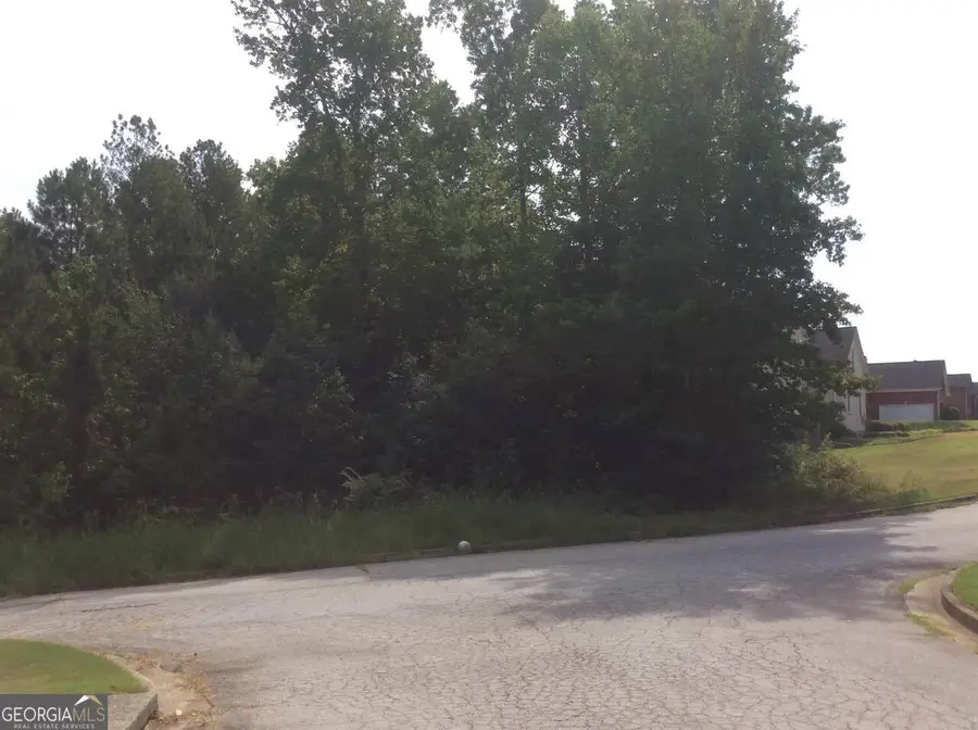 352 Greystone Lane, Douglasville, GA 30134 - Image #3