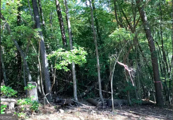 0.68 Valley View Road, Ellijay, GA 30536