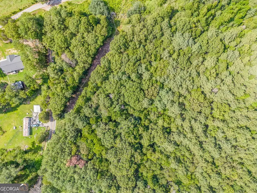 0 Richard Pullen Road, Cedartown, GA 30125 - Image #3