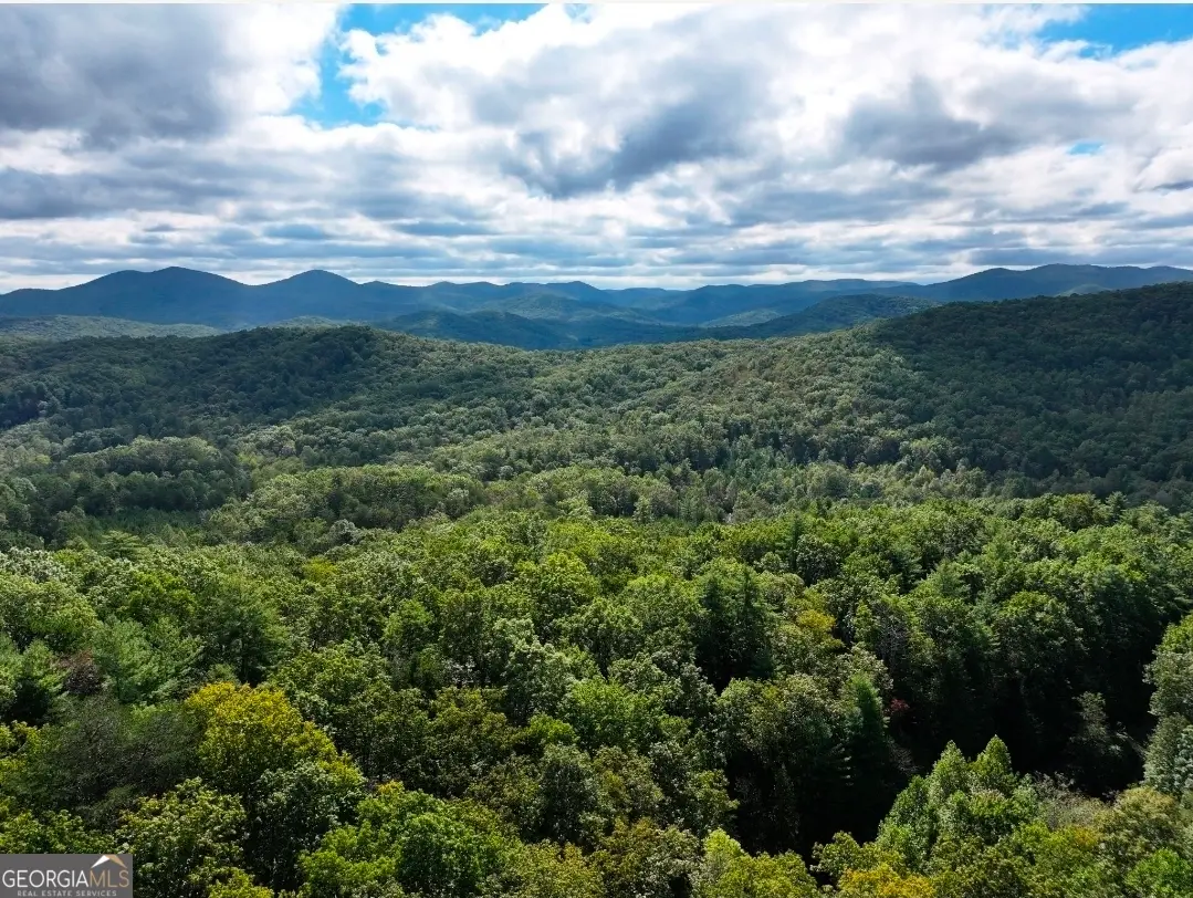 LOT 10 Papa Bear Path, Cherry Log, GA 30522 - Image #1