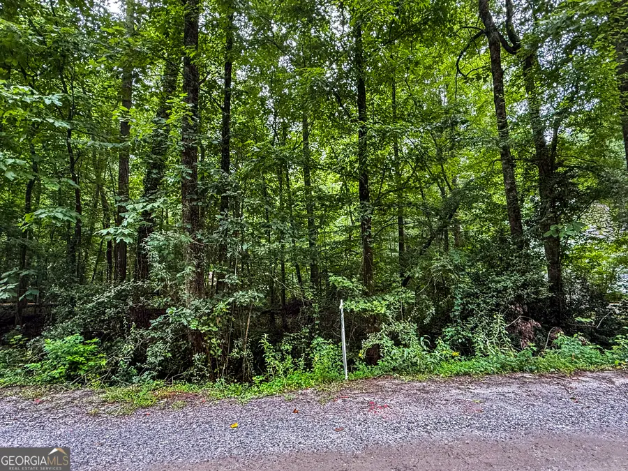 0 Fleetwood Drive, Cumming, GA 30041 - Image #3