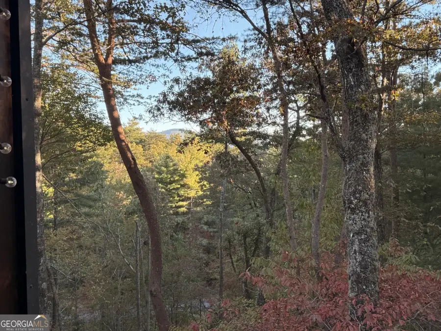 35 Leatherwood Mtn Road, Cherry Log, GA 30522 - Image #2