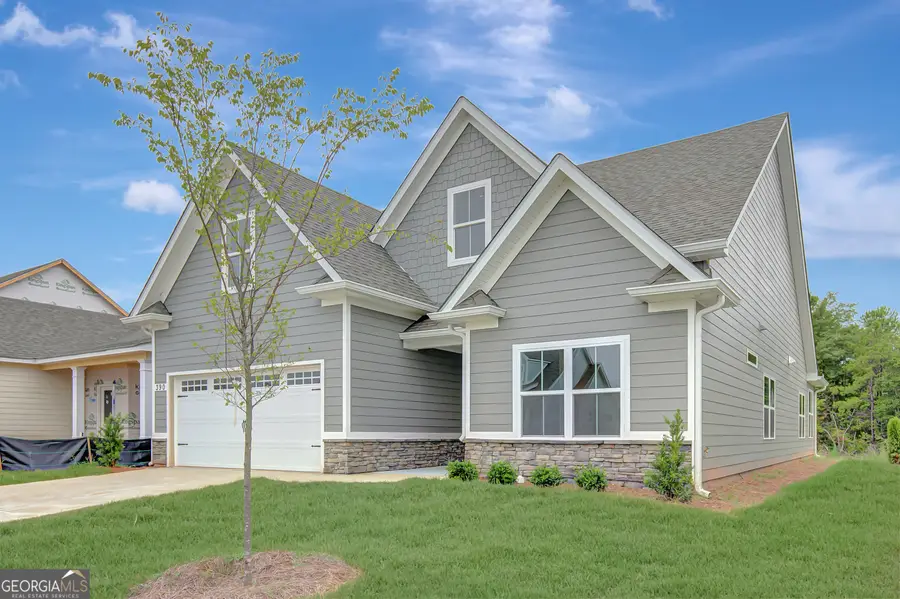 390 Redhaven Drive, Senoia, GA 30276 - Image #2