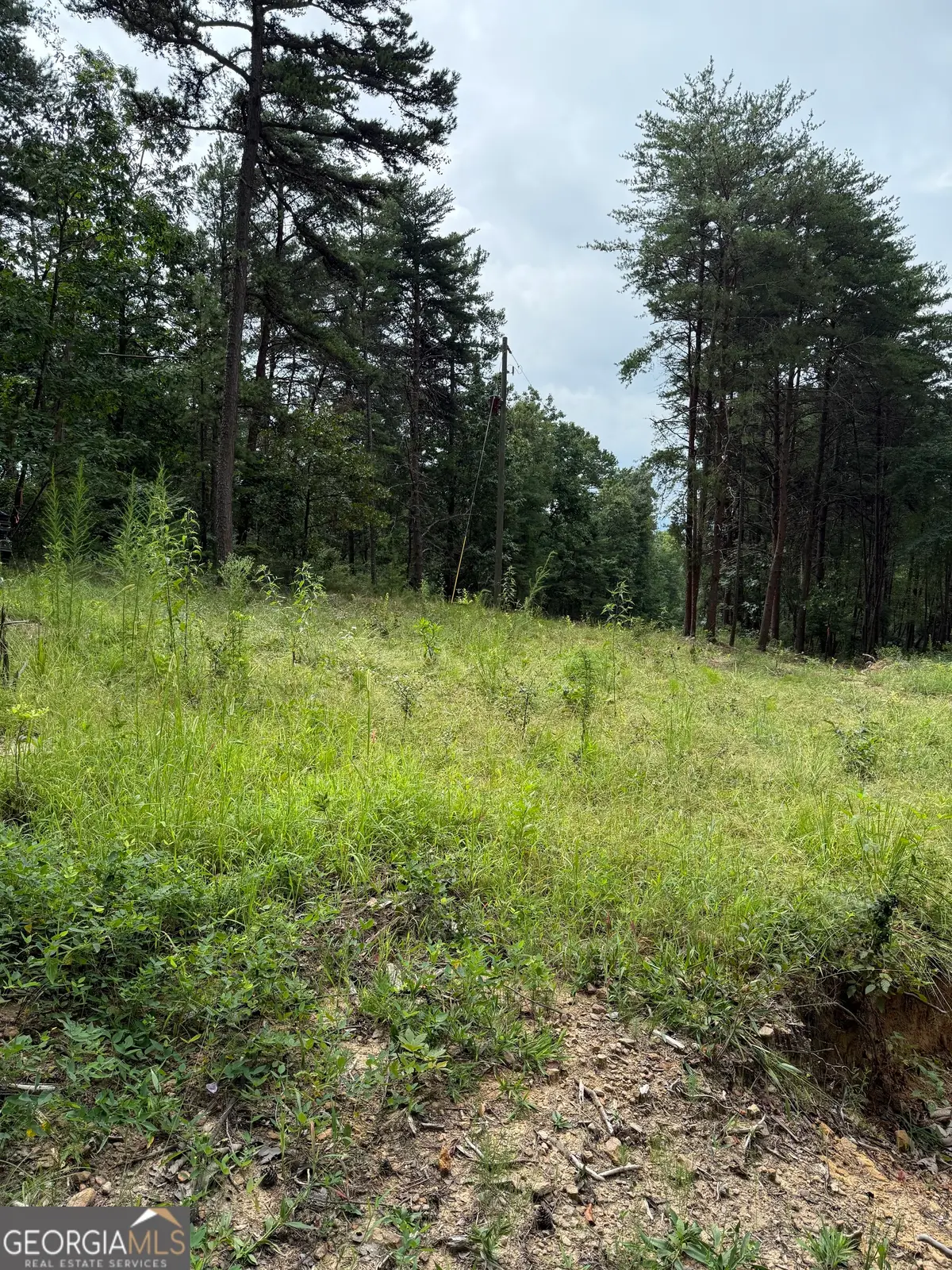 680 Fouche Gap Road Nw, Rome, GA 30165 - Image #1