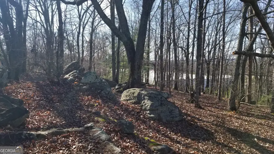 1785 Plunketts Road, Buford, GA 30518 - Image #3