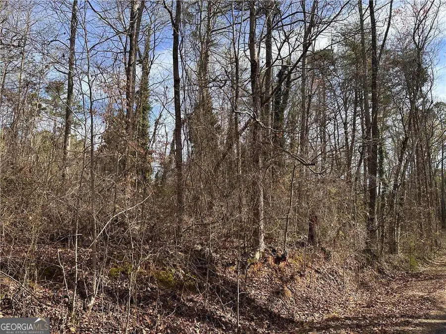 6785 Anderson Lake Road, Dawsonville, GA 30534 - Image #3