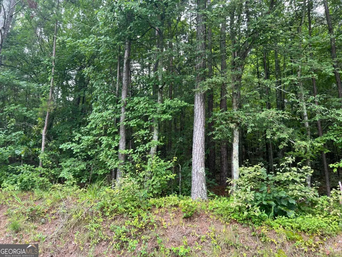 119 Kirk Road Nw, White, GA 30184 - Image #1