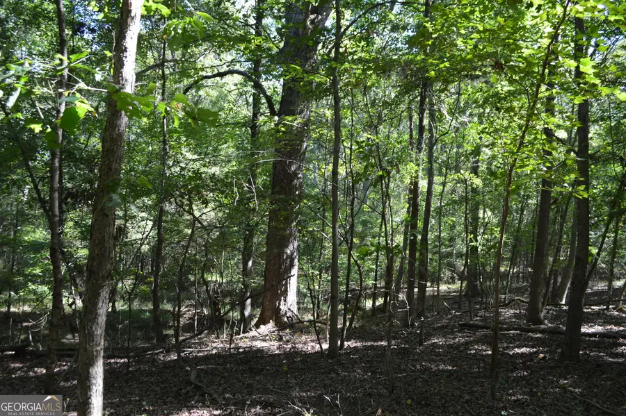 5 Ripplewood Trail, Euharlee, GA 30145 - Image #3