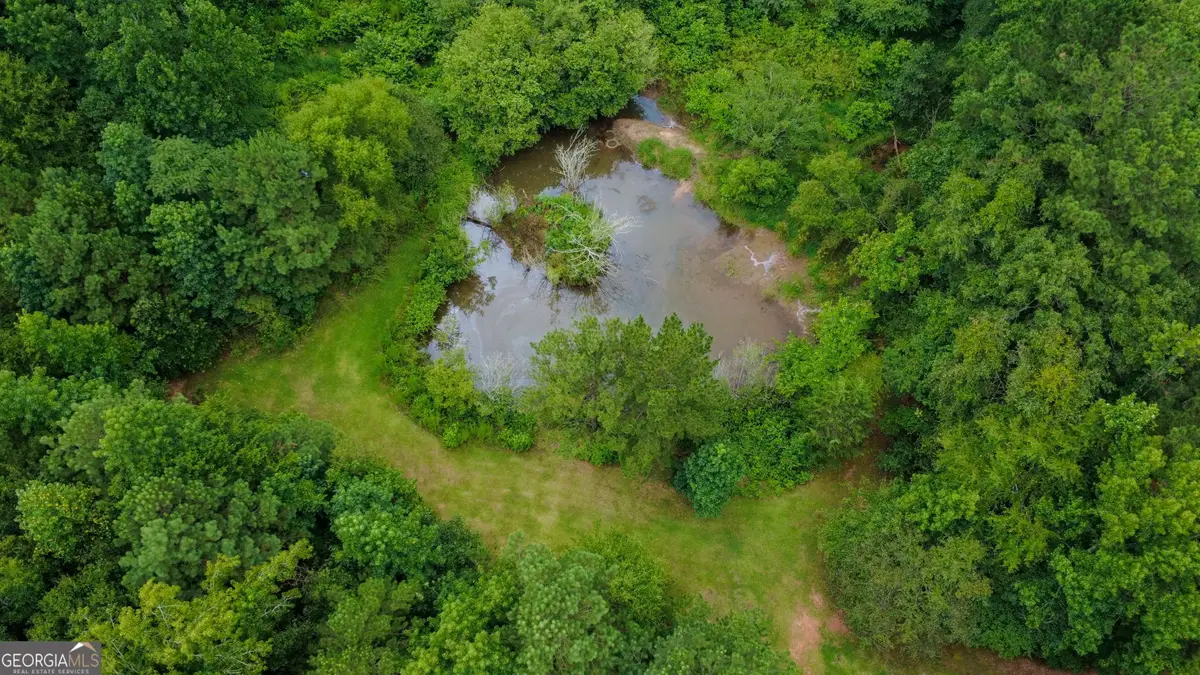 25 Elizabeth Drive, Senoia, GA 30276 - Image #1