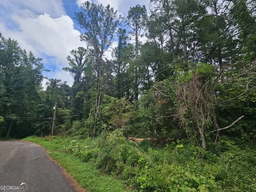 4676 Pine Drive Se, Acworth, GA 30102 - Image #3