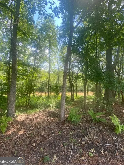 1764 Flatbottom, Ball Ground, GA 30107