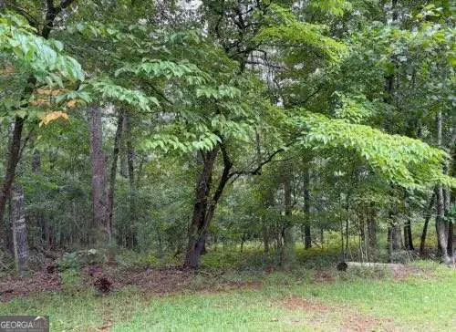 LOT 13 Olivia Lane, Ball Ground, GA 30107 - Image #1