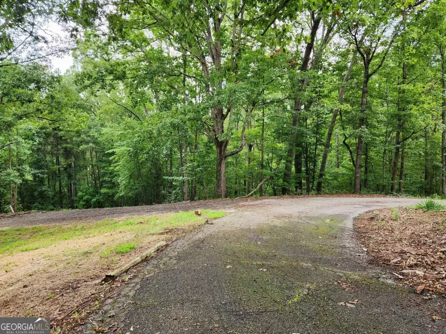 1397 Mcpherson Church Road, Dallas, GA 30132 - Image #3