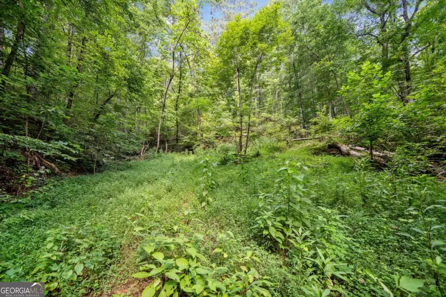 3.11 Acres Cove Road, Jasper, GA 30143 - Image #3