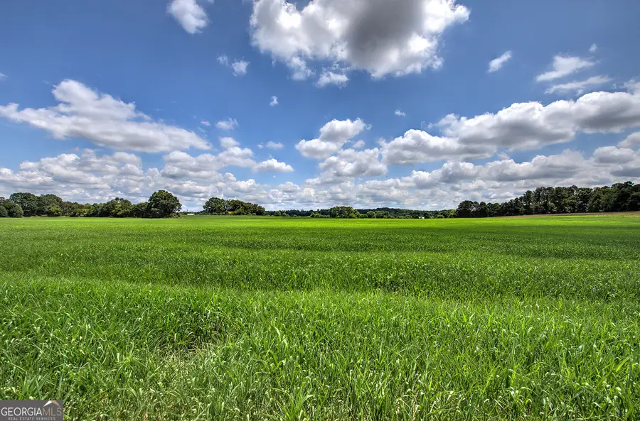 0 Taylorsville Macedonia/miller Farm Road, Taylorsville, GA 30178 - Image #2